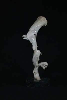 Hunter From The Sky